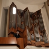 DSC08226.JPG