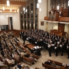 DSC08260.JPG